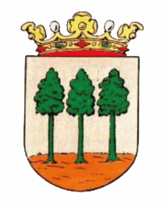 Dorpsraad Luyksgestel